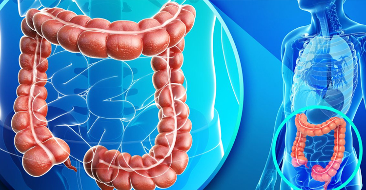 Coloproctologia